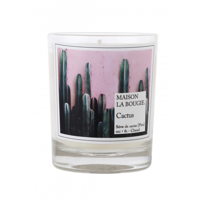 CACTUS Collection