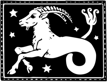 Signe: CAPRICRONE BLACK